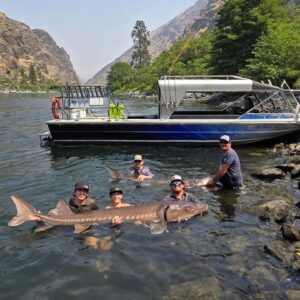 Idaho Sturgeon Fishing by Jet boat
