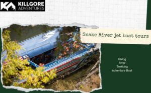 Snake River jet boat tours